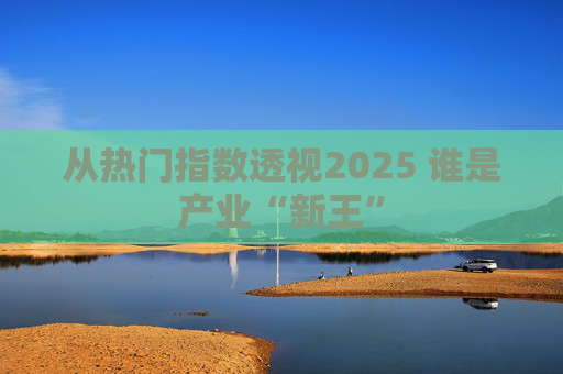 从热门指数透视2025 谁是产业“新王”