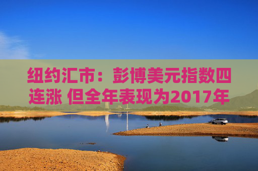 纽约汇市：彭博美元指数四连涨 但全年表现为2017年以来最差