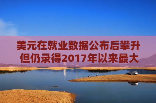 美元在就业数据公布后攀升 但仍录得2017年以来最大年跌幅