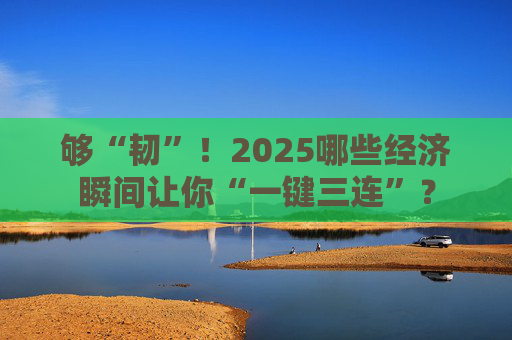 够“韧”！2025哪些经济瞬间让你“一键三连”？