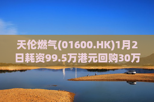 天伦燃气(01600.HK)1月2日耗资99.5万港元回购30万股