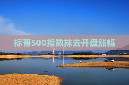 标普500指数抹去开盘涨幅