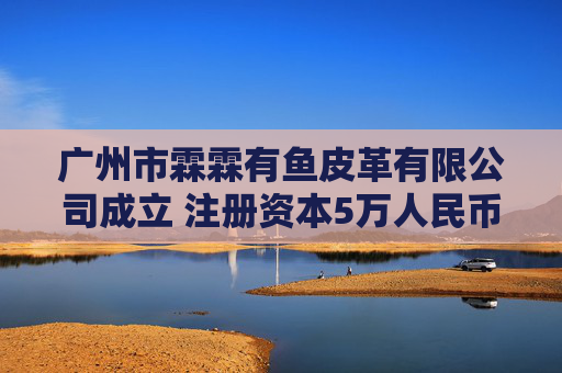 广州市霖霖有鱼皮革有限公司成立 注册资本5万人民币