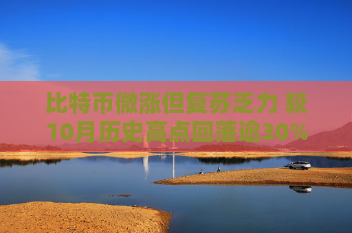 比特币微涨但复苏乏力 较10月历史高点回落逾30%