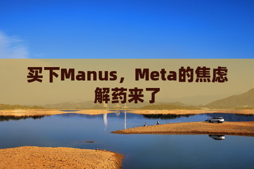 买下Manus，Meta的焦虑解药来了