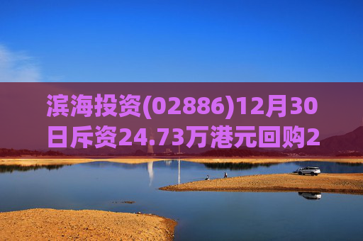 滨海投资(02886)12月30日斥资24.73万港元回购21.4万股