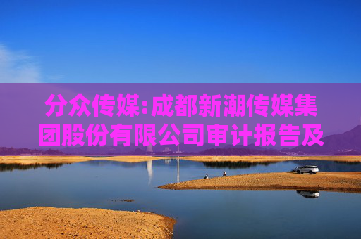 分众传媒:成都新潮传媒集团股份有限公司审计报告及财务报表（2023年度至2025年9月）