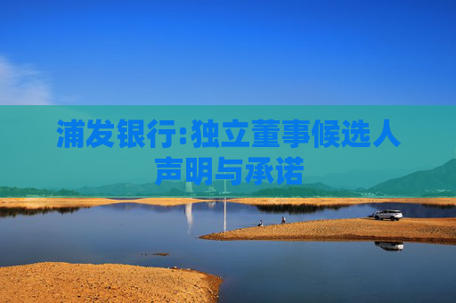 浦发银行:独立董事候选人声明与承诺