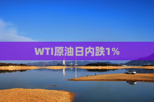 WTI原油日内跌1%