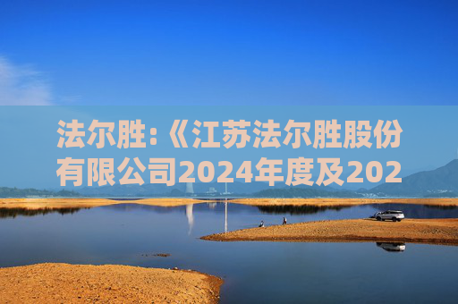 法尔胜:《江苏法尔胜股份有限公司2024年度及2025年1-9月备考财务报表审阅报告》（中兴华阅字（2026）第00000001号）