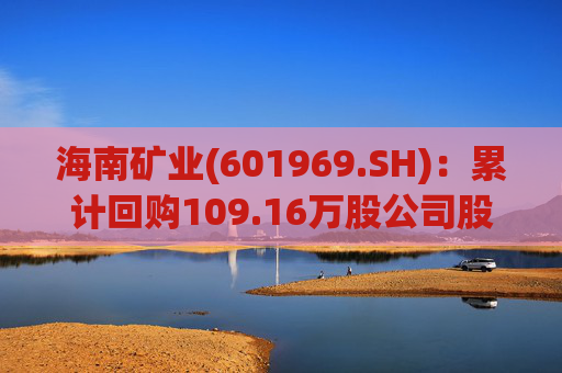海南矿业(601969.SH)：累计回购109.16万股公司股份