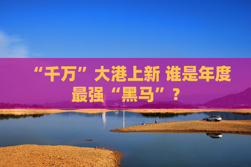 “千万”大港上新 谁是年度最强“黑马”？
