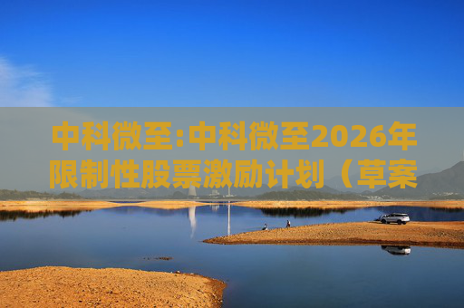 中科微至:中科微至2026年限制性股票激励计划（草案）摘要
