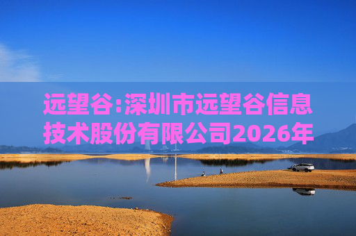 远望谷:深圳市远望谷信息技术股份有限公司2026年度向特定对象发行股票募集资金使用的可行性分析报告