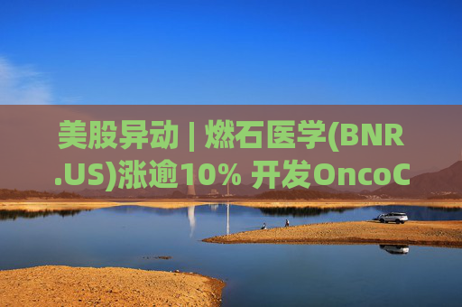 美股异动 | 燃石医学(BNR.US)涨逾10% 开发OncoCompass技术赋能肿瘤精准诊疗
