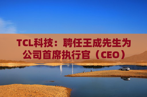 TCL科技：聘任王成先生为公司首席执行官（CEO）
