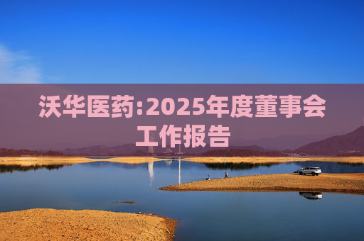 沃华医药:2025年度董事会工作报告