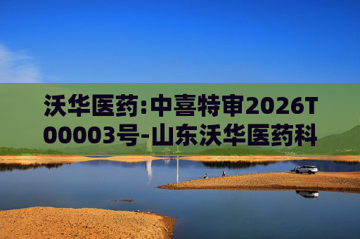 沃华医药:中喜特审2026T00003号-山东沃华医药科技股份有限公司-关联资金占用报告