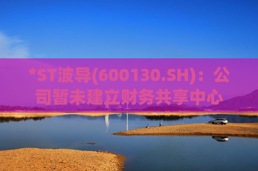 *ST波导(600130.SH)：公司暂未建立财务共享中心