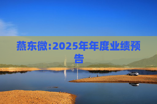 燕东微:2025年年度业绩预告