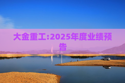 大金重工:2025年度业绩预告