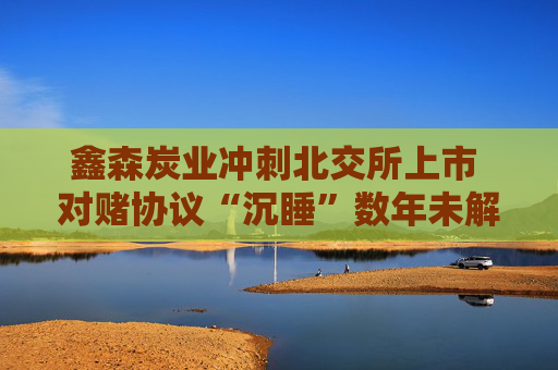 鑫森炭业冲刺北交所上市 对赌协议“沉睡”数年未解