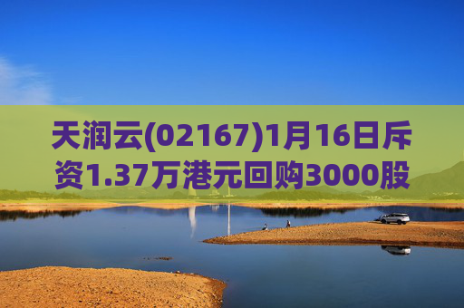 天润云(02167)1月16日斥资1.37万港元回购3000股  第1张