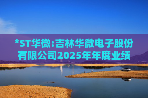 *ST华微:吉林华微电子股份有限公司2025年年度业绩预告