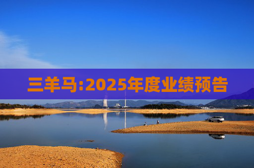 三羊马:2025年度业绩预告