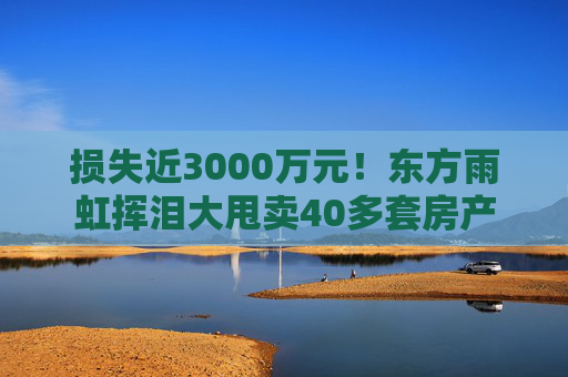 损失近3000万元！东方雨虹挥泪大甩卖40多套房产