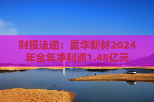 财报速递：星华新材2024年全年净利润1.48亿元  第1张