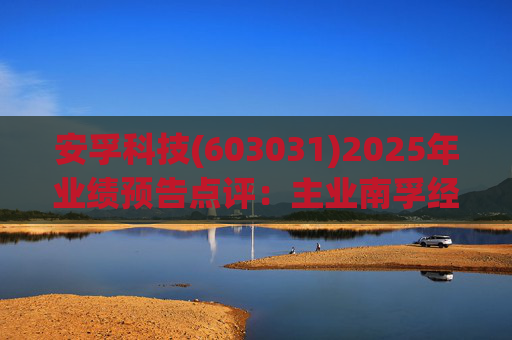 安孚科技(603031)2025年业绩预告点评：主业南孚经营稳健 股权收购增厚盈利