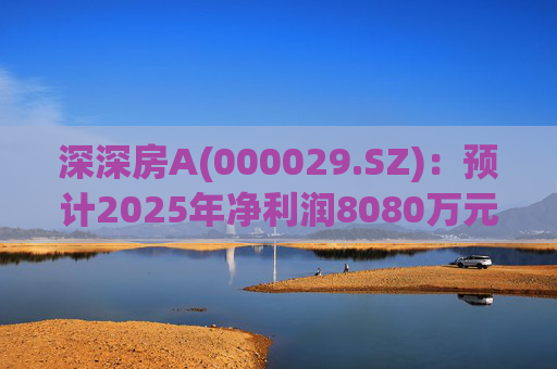 深深房A(000029.SZ)：预计2025年净利润8080万元～1.212亿元