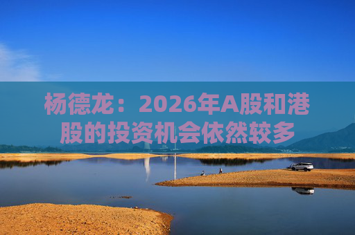 杨德龙：2026年A股和港股的投资机会依然较多