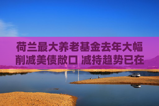荷兰最大养老基金去年大幅削减美债敞口 减持趋势已在北欧多国显现