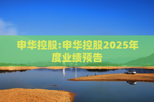 申华控股:申华控股2025年度业绩预告