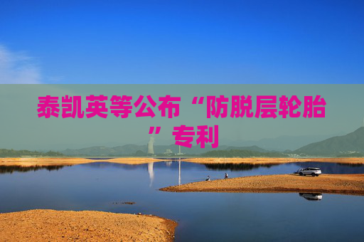 泰凯英等公布“防脱层轮胎”专利  第1张