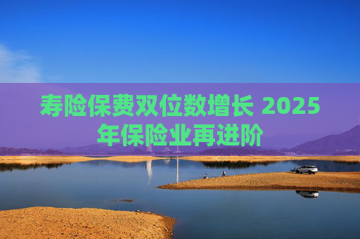 寿险保费双位数增长 2025年保险业再进阶
