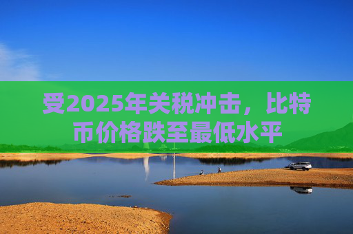 受2025年关税冲击，比特币价格跌至最低水平