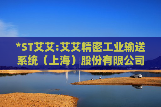 *ST艾艾:艾艾精密工业输送系统（上海）股份有限公司关于公司股票可能被终止上市的风险提示性公告