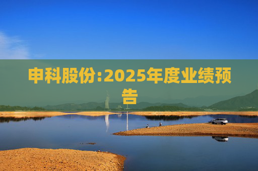 申科股份:2025年度业绩预告