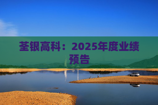 荃银高科：2025年度业绩预告
