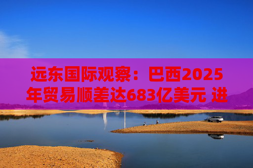 远东国际观察：巴西2025年贸易顺差达683亿美元 进出口额均创历史新高