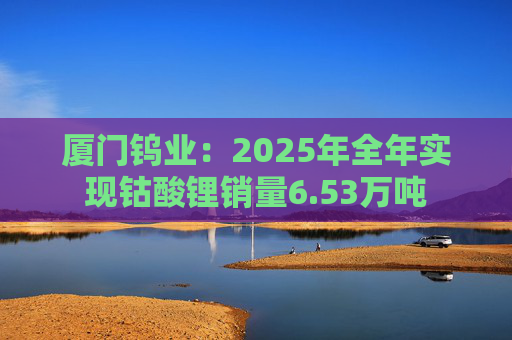 厦门钨业：2025年全年实现钴酸锂销量6.53万吨