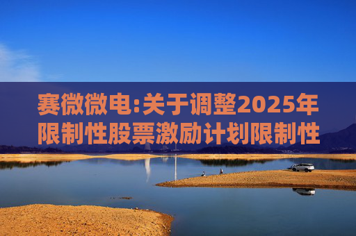 赛微微电:关于调整2025年限制性股票激励计划限制性股票授予价格的公告