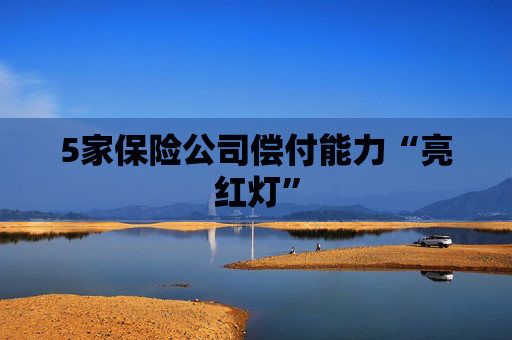 5家保险公司偿付能力“亮红灯”