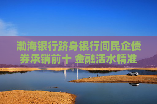 渤海银行跻身银行间民企债券承销前十 金融活水精准灌溉民营经济