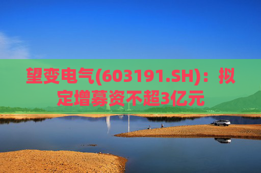 望变电气(603191.SH)：拟定增募资不超3亿元