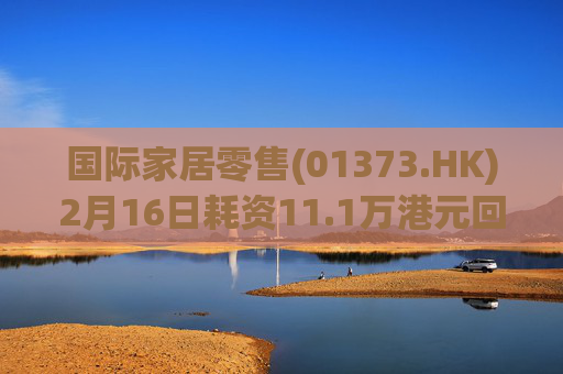 国际家居零售(01373.HK)2月16日耗资11.1万港元回购15万股