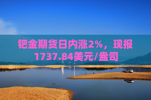 钯金期货日内涨2%，现报1737.84美元/盎司